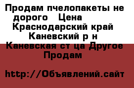 Продам пчелопакеты не дорого › Цена ­ 3 500 - Краснодарский край, Каневский р-н, Каневская ст-ца Другое » Продам   